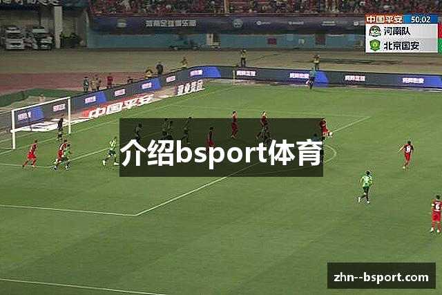 介绍bsport体育
